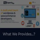 wpexpertshub.com wpexpertshub.com