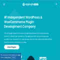 wppluginexperts.com wppluginexperts.com