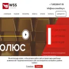 wss-consulting.ru wss-consulting.ru