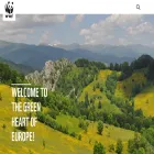 wwfcee.org wwfcee.org