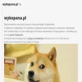wykopana.pl