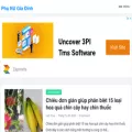 xemgihomnay247.com