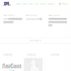 xvi.co.jp