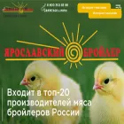 yarbroiler.ru