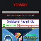 yedzix.com yedzix.com