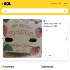 yellowpages.aol.com yellowpages.aol.com