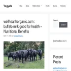 yogyata.org.in yogyata.org.in
