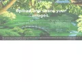 yohpic.com yohpic.com