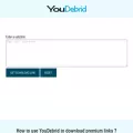 youdebrid.com