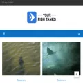 yourfishtanks.com