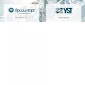 yst.ru