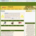 zelda.wikia.com