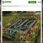 zemliak.com zemliak.com