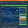 zepy.net zepy.net