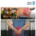 zhinteb.com zhinteb.com