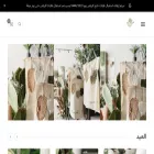 zraby77.com